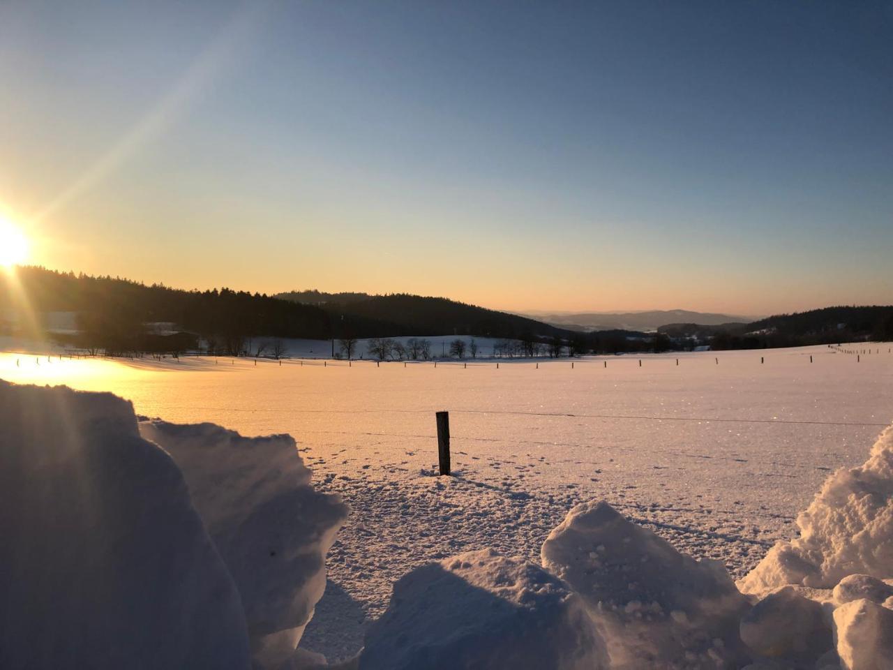 Vila Pasecna - Lipno Přední Výtoň Eksteriør bilde